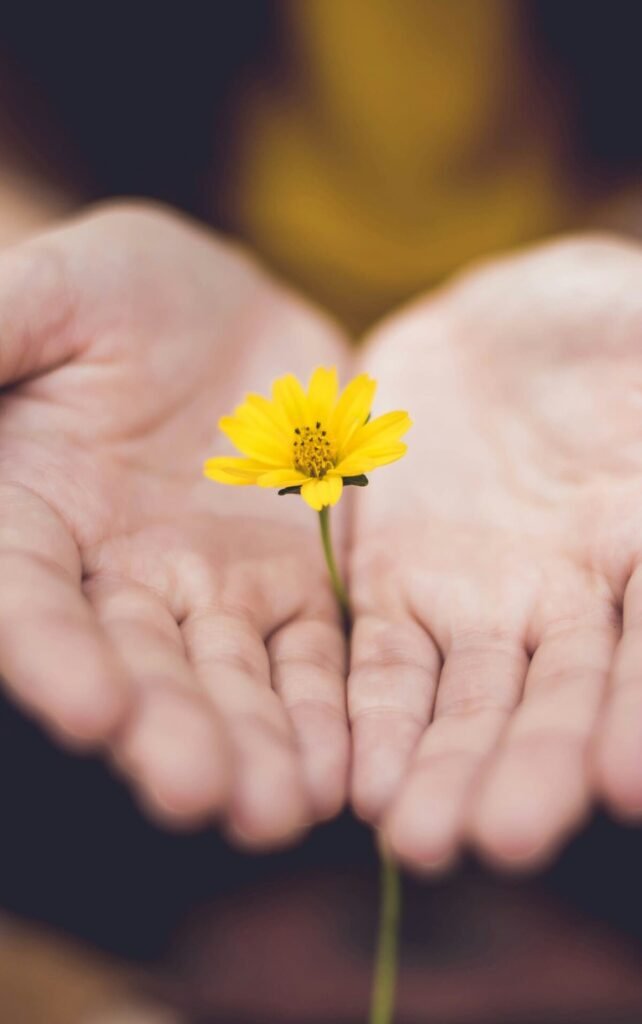 Costruiamo insieme Originals