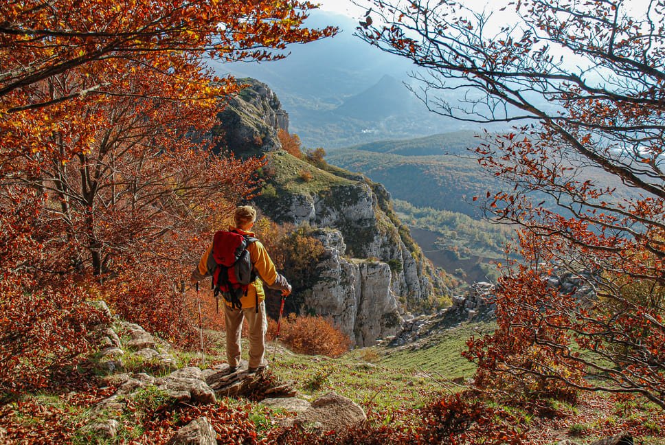 PN Pollino - Foto F. Bevilacqua